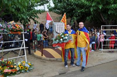 Diada Nacional de Catalunya 2013