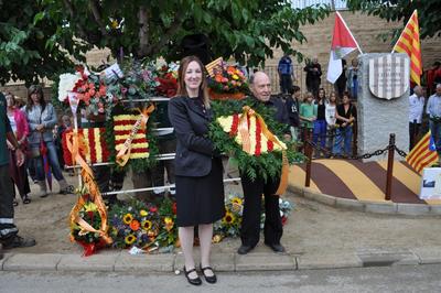 Diada Nacional de Catalunya 2013