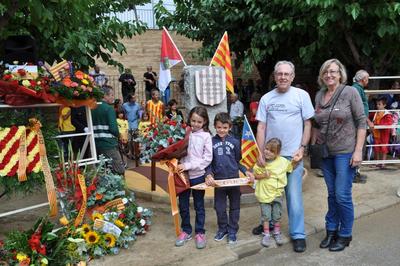 Diada Nacional de Catalunya 2013