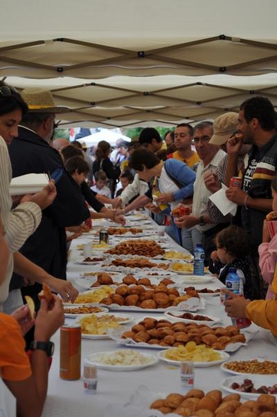 Diada Nacional de Catalunya 2013