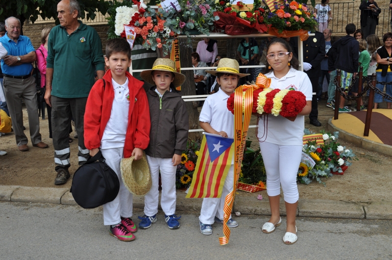 Diada Nacional de Catalunya 2013