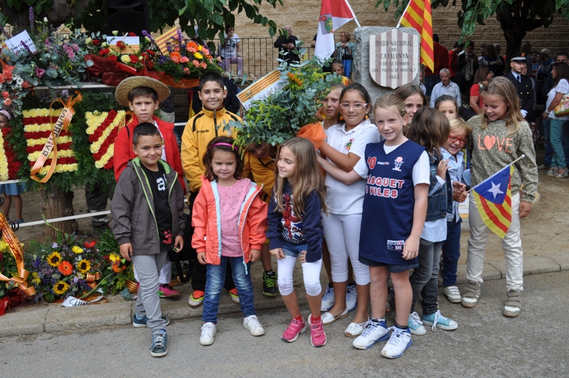 Diada Nacional de Catalunya 2013