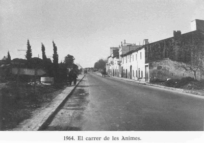 1964 - Elcarrer de les nimes