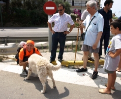 Arribada carrera 2010 km