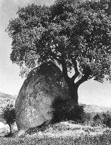 La Pedra de l'Ou