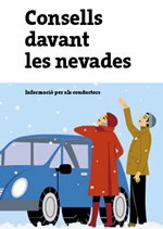 Consells nevades