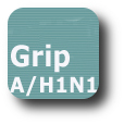 Logo nova grip A (H1N1)