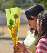 Sant Jordi 2010