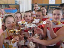 Gimnàstica artística
