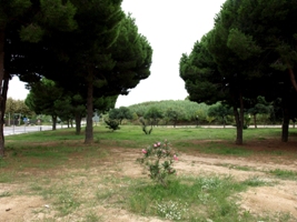 Parc del Terral