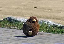 Bomba