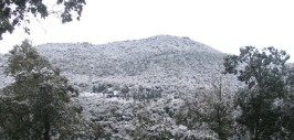 Neu al Montalt