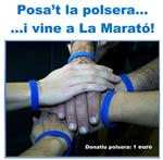 La Marató 2011