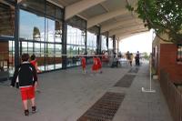 Activitats esportives