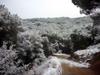 Sant Vicen&ccedil; nevat