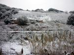 Sant Vicen&ccedil; nevat