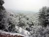 Sant Vicen&ccedil; nevat