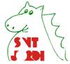 Logo Sant Jordi