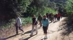 Caminades amb bastó