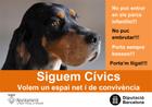 Siguem cívic