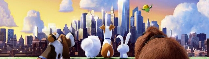 Mascotas