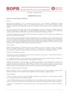 Aprovació bases Cap OAC
