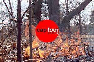 Prohibit fer foc