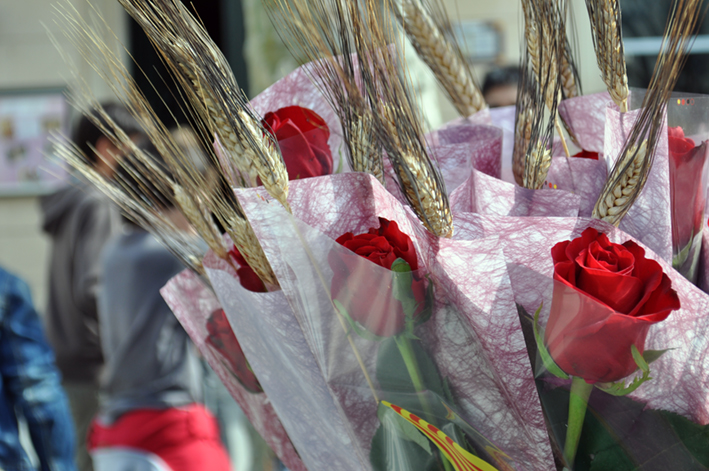 Sant Jordi