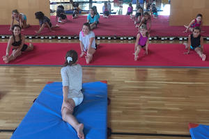 Activitats esportives