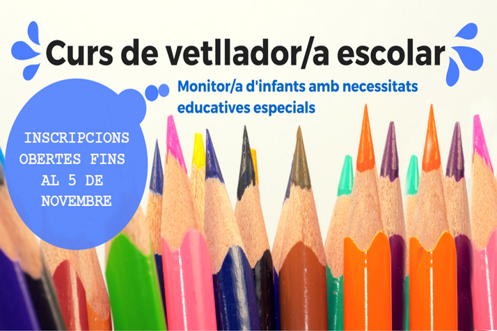 Curs vetllador/a