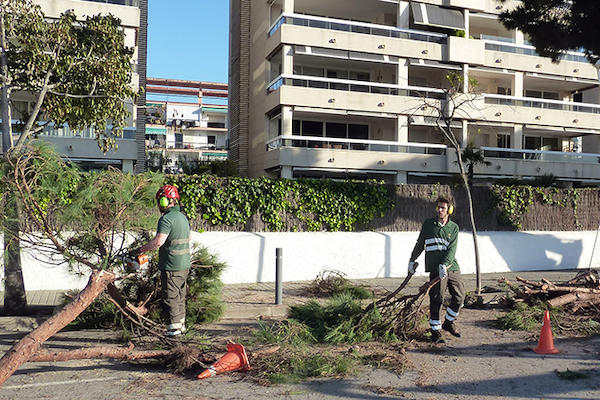 Brigada Jove 2018