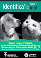 Campanya xipa't i cens mascotes
