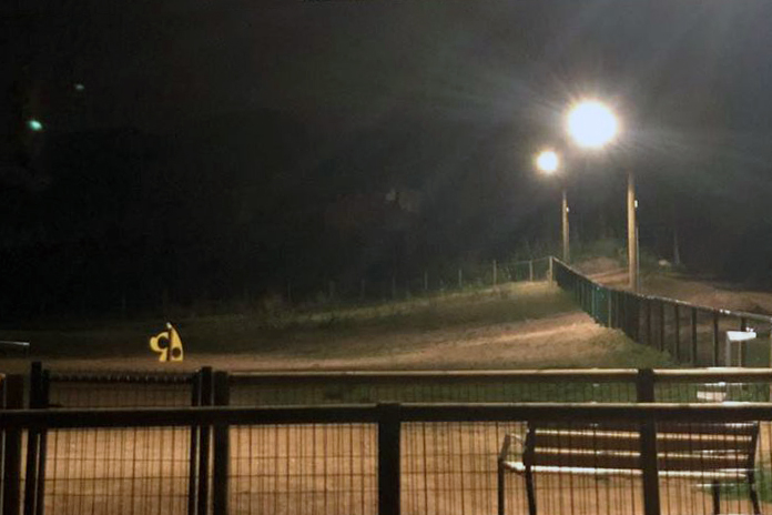 Enllumenat parc gossos