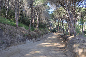 Camins de Sant Vicen de Montalt