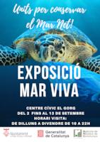 Exposició Marviva