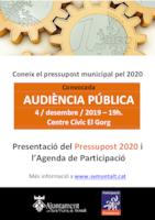 Audiència pública pressupostos 2020