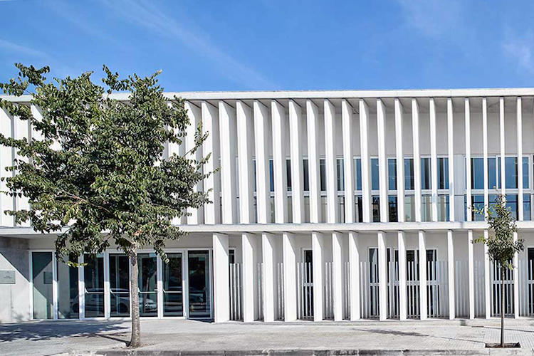 Institut Esteve Albert