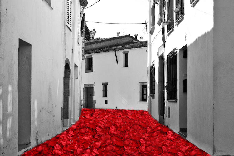Sant Jordi Confinat