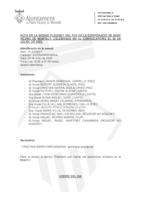 Ple extraordinari telemàtic juliol 2020