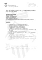 Ple extraordinari telemàtic 29 octubre 2020