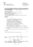 Ple urgent-extraordinari-telemàtic 26 novembre 2020