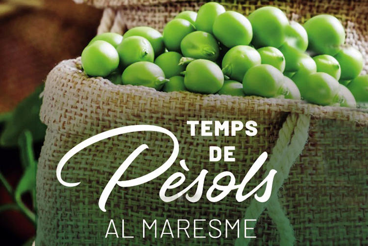 Temps de pèsols 2020