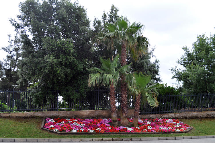 Viles Florides