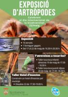 Exposició i tallers artròpodes