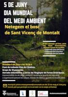 Neteja bosc