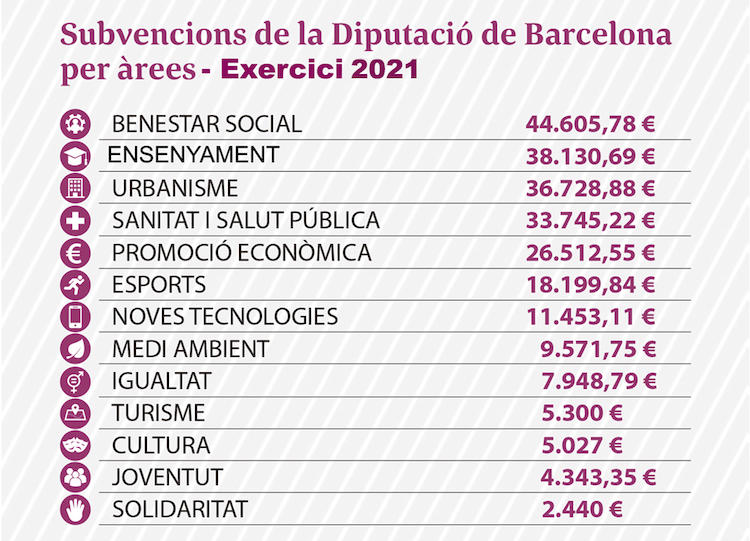 Subvencions Diputació de Barcelona - Any 2021