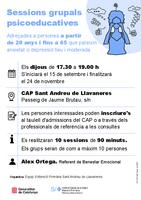 Sessions grupals ansietat-depressió