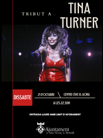 Tribut Tina Turner