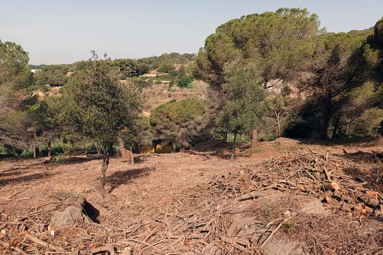 Parcel·la El Rocà