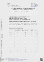 Resultats finals monitors-es estiu